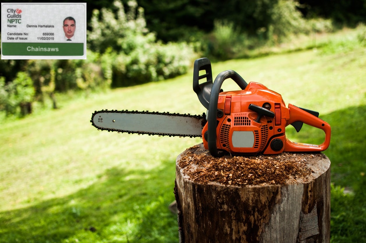 chainsaw on a tree stump alongside a picture of my chainsaw licence